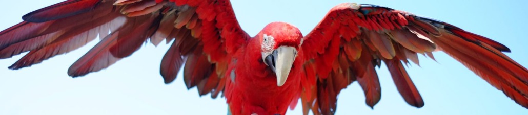 legal vs beneficial interest