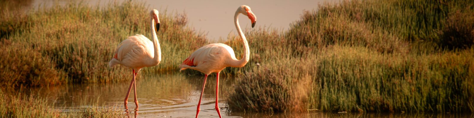 Enforcement of Court Judgments in England