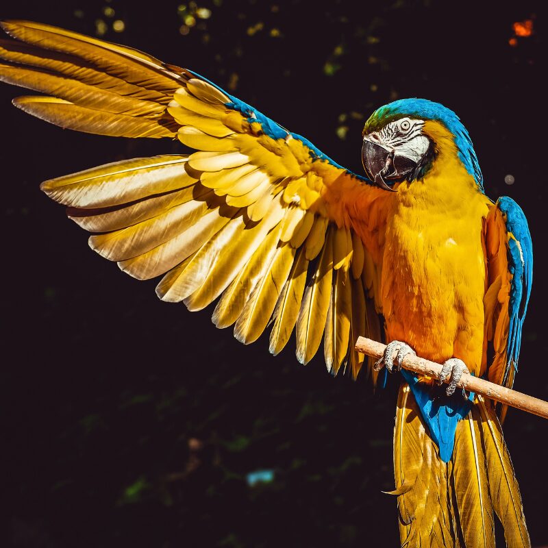Breaching The Conditions of the Sale Agreement Image